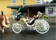 Mit der Hochzeitskutsche nach Mußbach